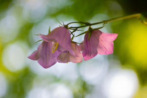 _6914