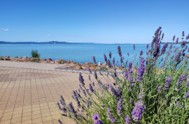 Csodálatos Balaton